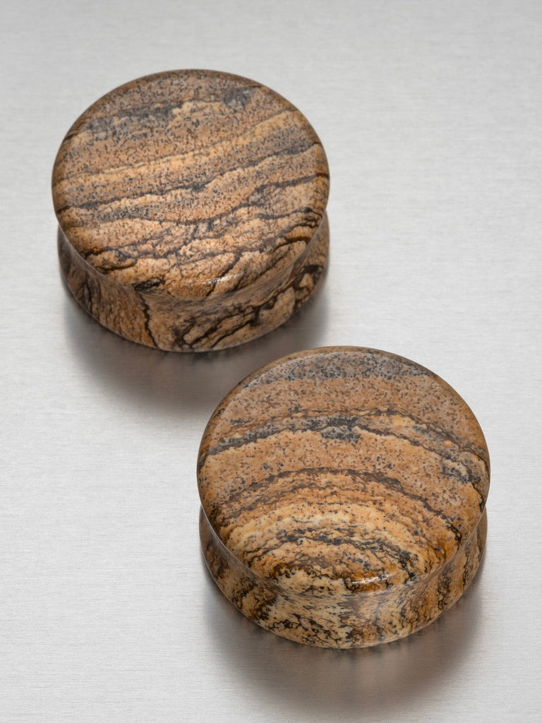 Picture Jasper Stone Plugs