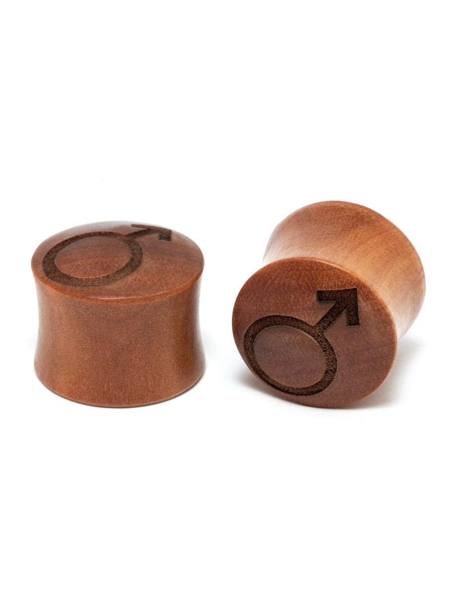 Pride Symbols Engraved Wood Plugs | Trans Gauges | Non Binary