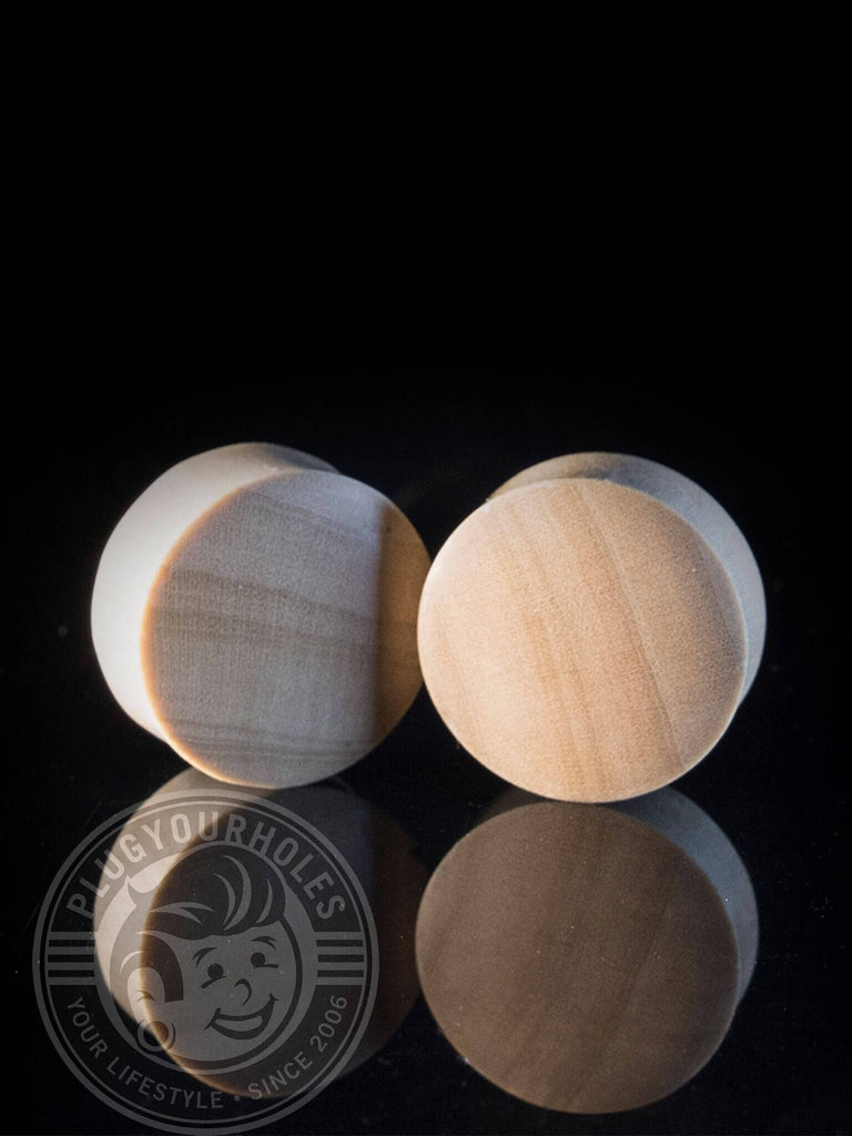 Crocodile Convex Wood Plugs